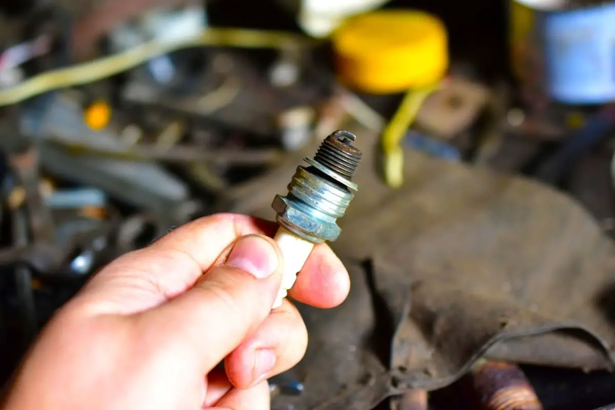 why is there oil on my spark plugs