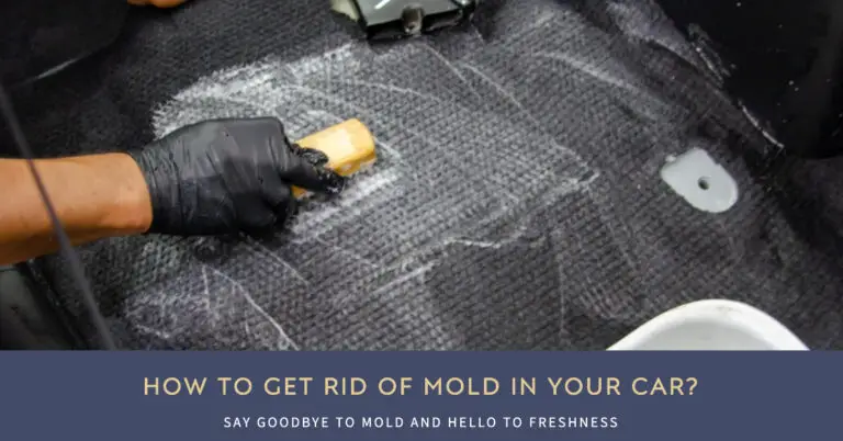 How to Get Rid of Mold in Your Car? Easy Fixes